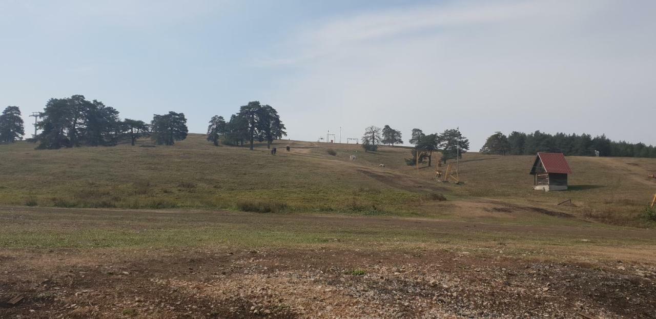 Apartman Konak 23-4 Zlatibor Buitenkant foto